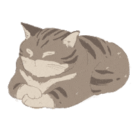 Sad Fat Cat Sticker
