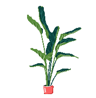 Jasminehortop home plant plants leaves Sticker