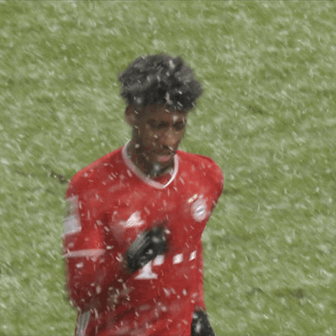 Champions League Reaction GIF by FC Bayern Munich