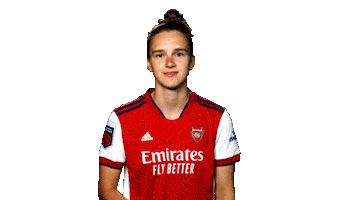 Celebrate Champions League Sticker by Arsenal