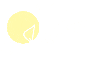 arynlei illustration nature flower drawing Sticker