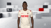 Football Soccer GIF by Bundesliga