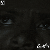 Post Apocalyptic I See You GIF by Arrow Video