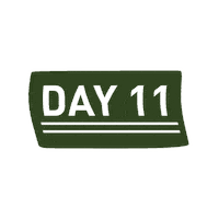 Christmas Countdown Sticker by Essential Worship