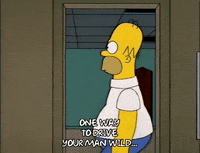 homer simpson episode 22 GIF