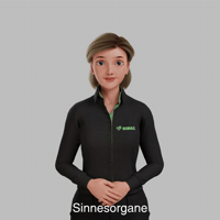 Avatar Gebärdensprache GIF by Sign Time - SiMAX