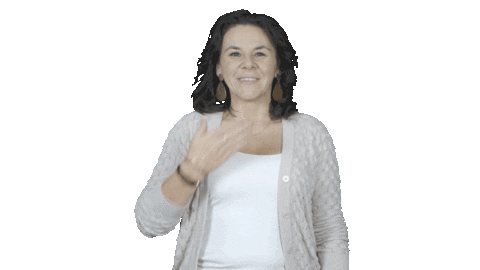 zeghetmetjehandjes giphyupload misa cmp gebaren Sticker