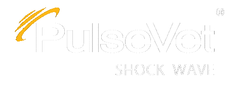 Shockwave Veterinarian Sticker by PulseVet