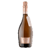 costersio rose wine sparkling wine costersdelsio costers del sio Sticker