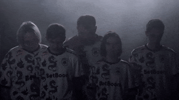 Team Spirit GIF by BLAST
