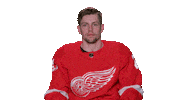 Red Wings Sport Sticker by Detroit Red Wings