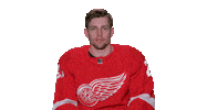 Red Wings Sport Sticker by Detroit Red Wings