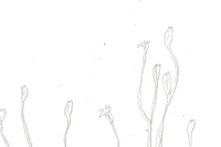 animation art GIF by Katie Drew