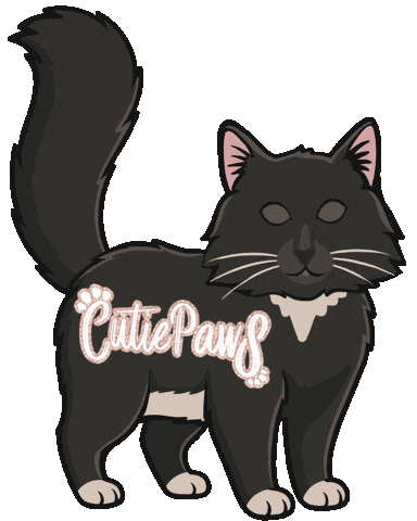 cutiepaws giphyupload cat atlanta dog walking Sticker