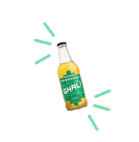 ghalikombucha healthy chile kombucha saludable Sticker