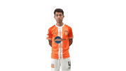 Spl Cheetahs Sticker by HGFC
