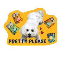 Happy Dog Food Sticker by Awesome Pawsome Treats