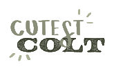 Colts Cowgirl Sticker by Molly Virginia Morris Photography