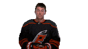 Good For You Applause Sticker by Carolina Hurricanes