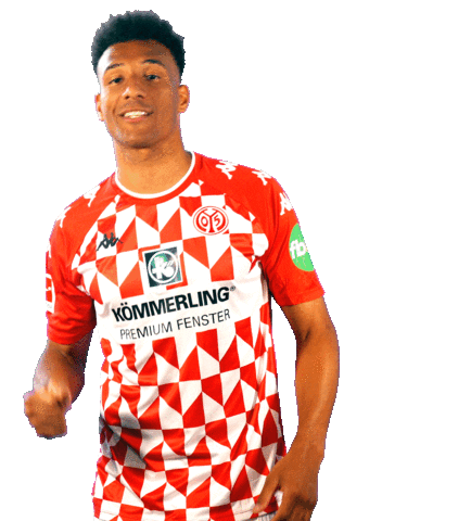 fsvmainz05 bundesliga jubel tor freude Sticker