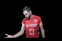 redlynxes volleyball voleibol mikasa redlynxes GIF