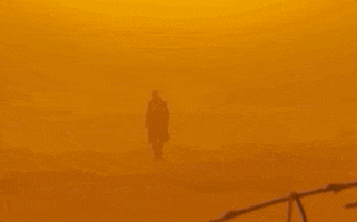 Blade Runner 2049 Orange GIF