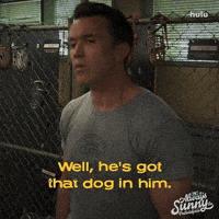 Hulu Badass GIF by It's Always Sunny in Philadelphia