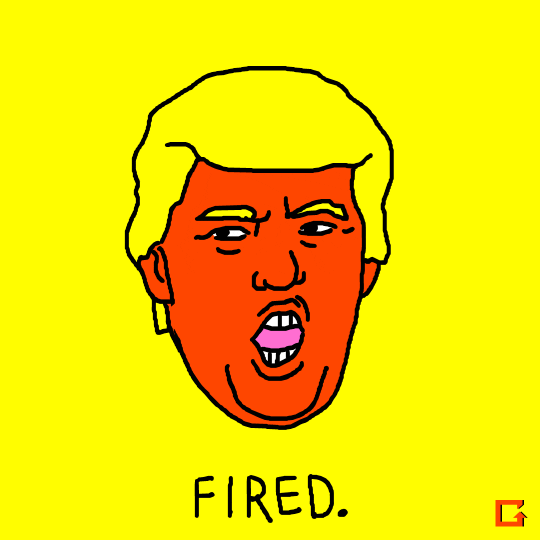 Donald Trump GIF by gifnews