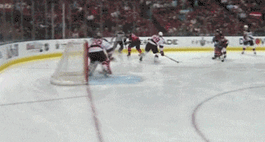 nhl GIF by SB Nation