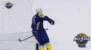 ice hockey hello GIF by NHL