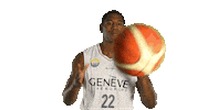 Basketball Basket Sticker by Lions de Genève