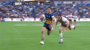 GIF by CommBank Stadium