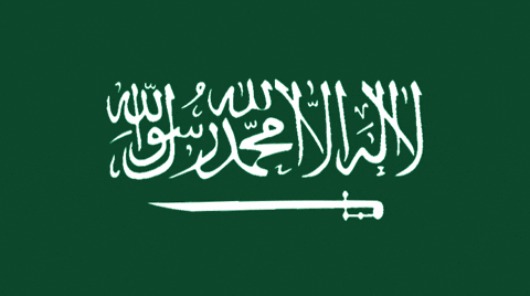 Saudi Arabia Flag GIF by tzceer