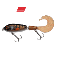 Fishing Pike Sticker by Catch More Fish