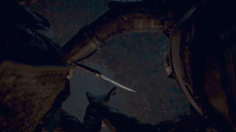 game of thrones arya GIF by Vulture.com