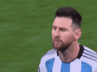 World Cup Argentina GIF