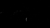 Black And White Hand GIF by Sub Pop Records