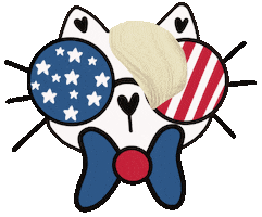 4Th Of July Trump Sticker