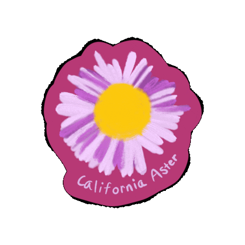 Southern California Flower Sticker by MiniNature Reserve