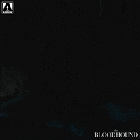 Liam Aiken What GIF by Arrow Video