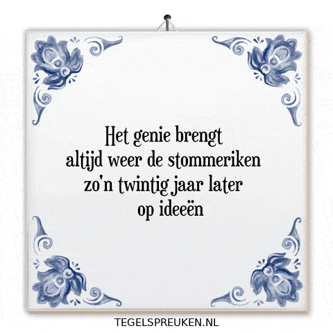 Genie Humor GIF by Tegelspreuken.nl