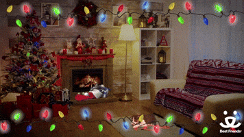 Holiday Hangout!