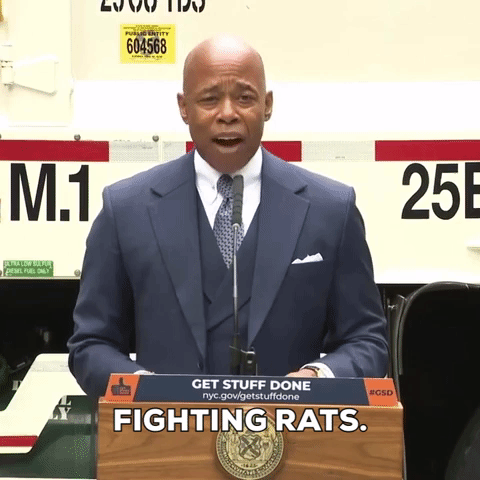 Fighting Rats
