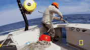 natgeochannel wicked tuna GIF