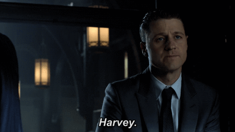 fox broadcasting GIF by Gotham