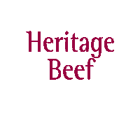 Chef Steak Sticker by Aubrey Allen