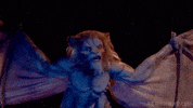 jack hill film GIF by RETRO-FIEND