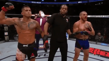 ufc 213 GIF