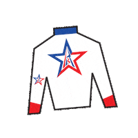 Sport Silk Sticker by Kentucky Derby
