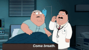 peter griffin quahog GIF by Family Guy